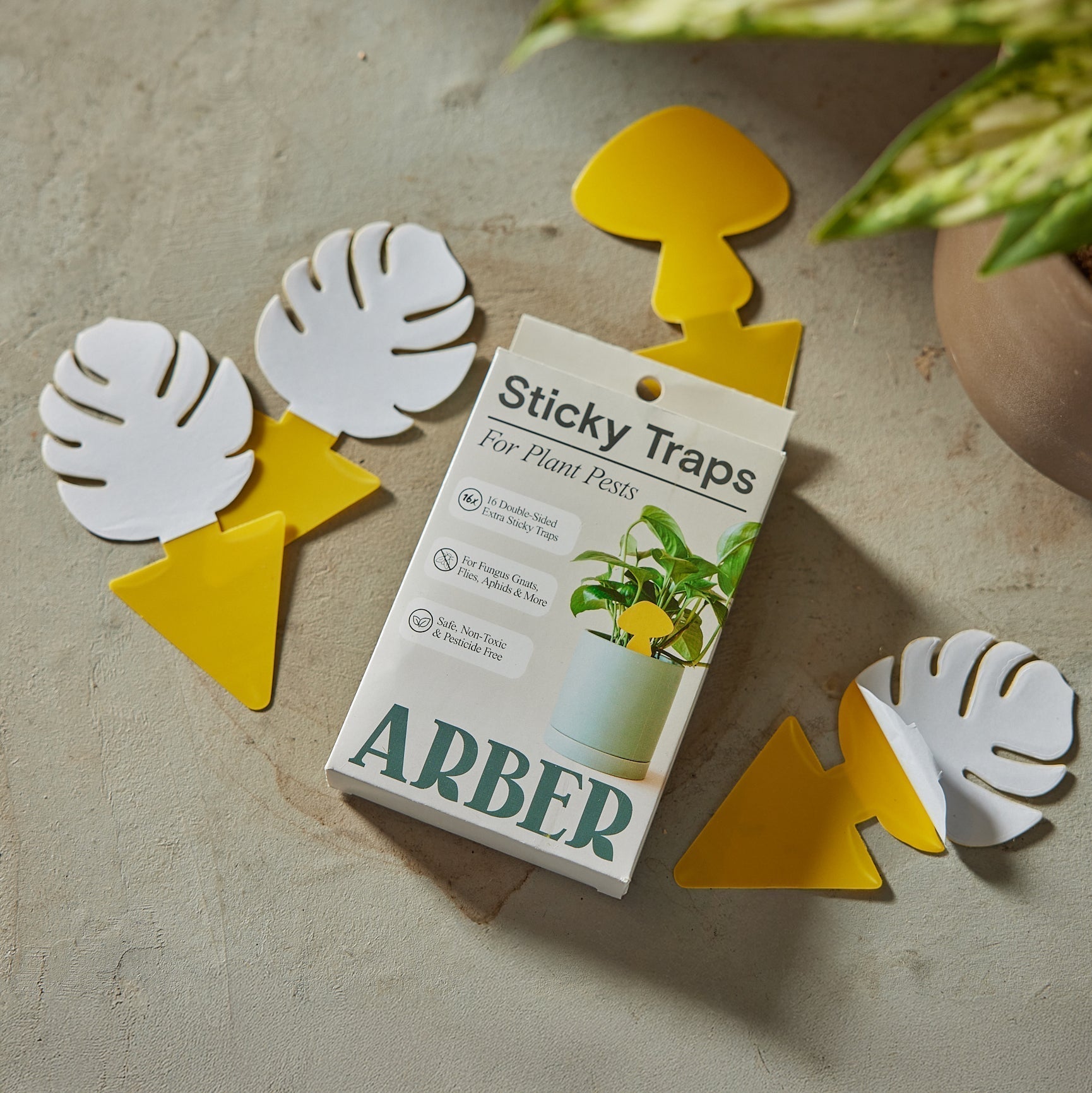 Sticky Traps for Plant Pests Default Title Austin Jungle Co.