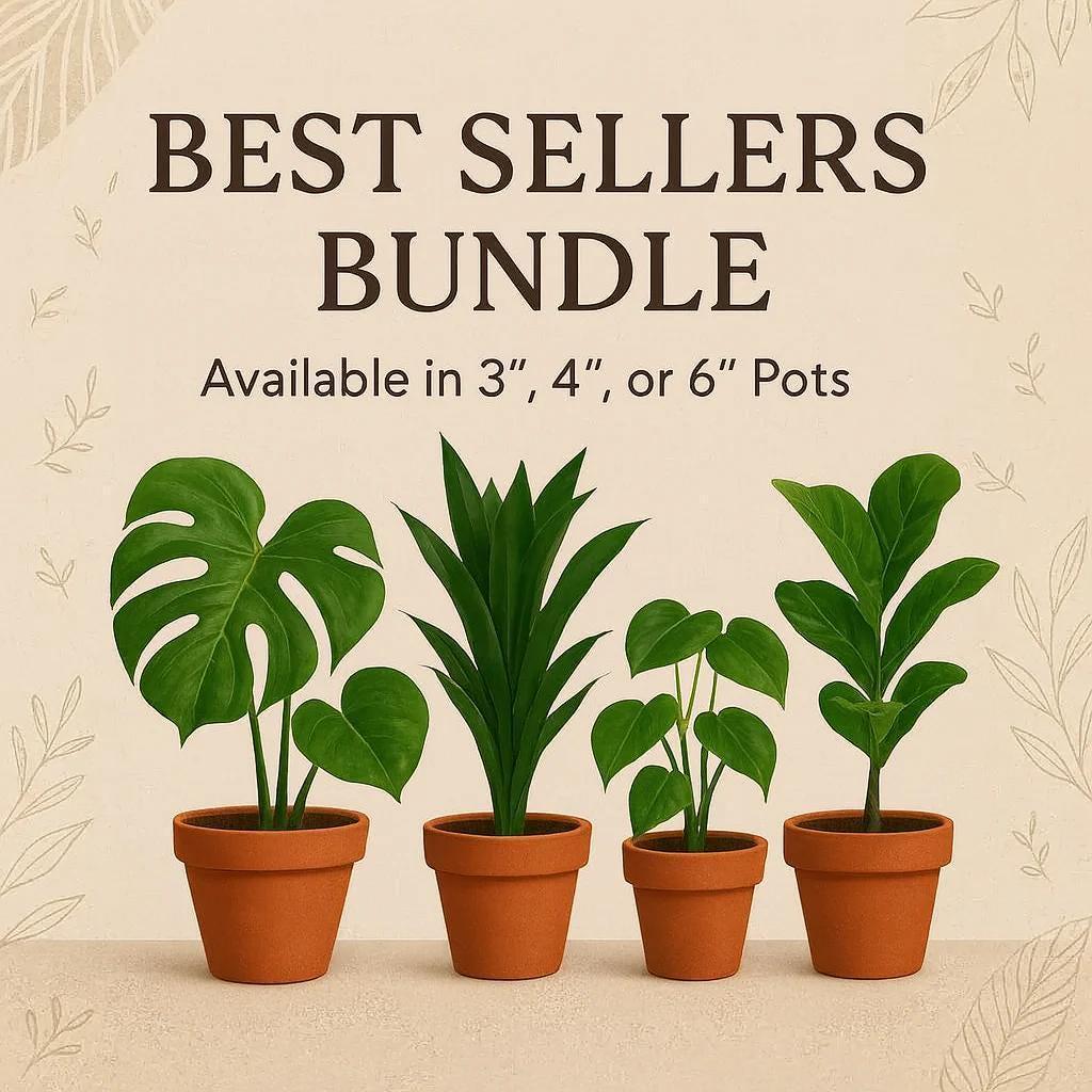 Best Selling Bundle Bundle 3" Bundle Austin Jungle Co.