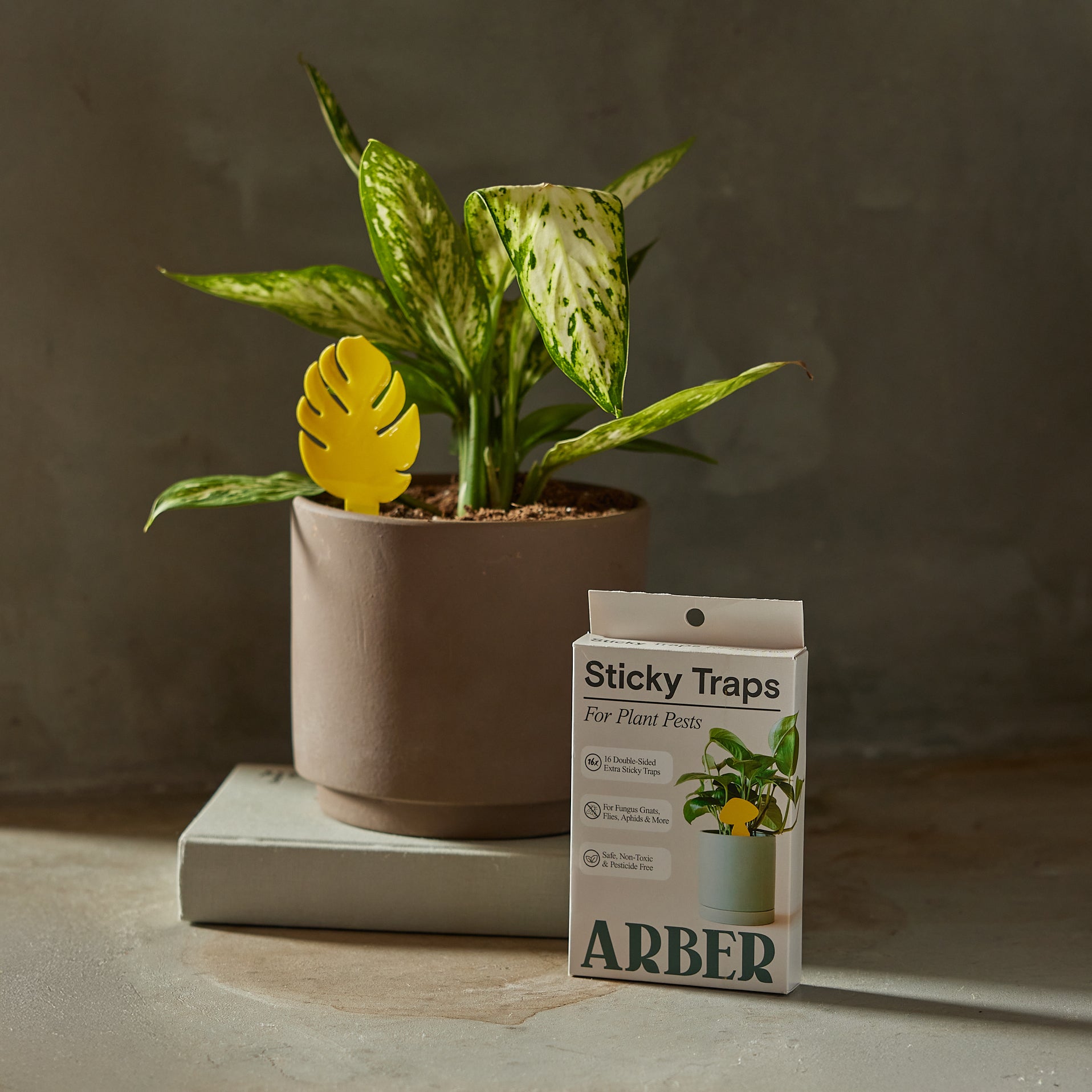 Sticky Traps for Plant Pests Default Title Austin Jungle Co.