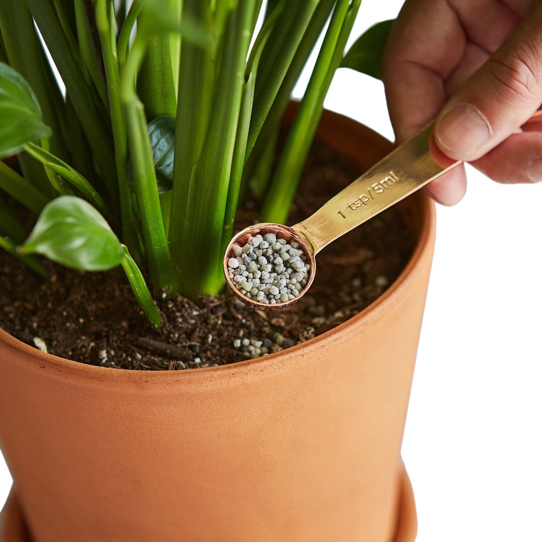 Pellet Fertilizer/Indoor House Plant Food - Small Fertilizer Default Title Austin Jungle Co.