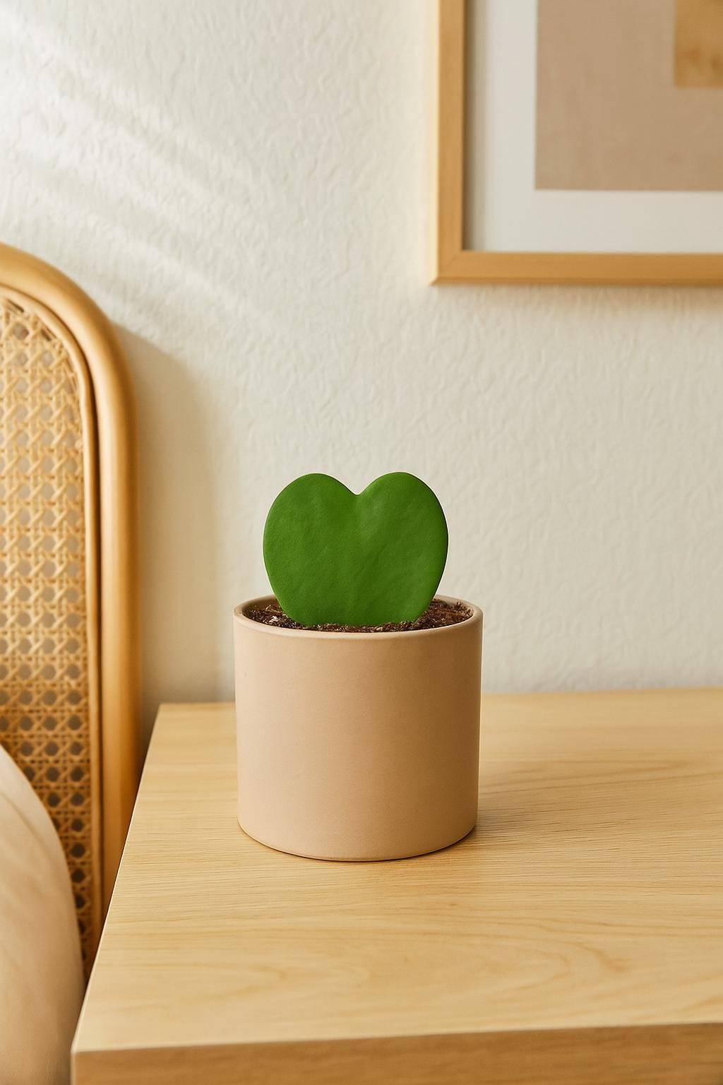 Hoya Sweetheart