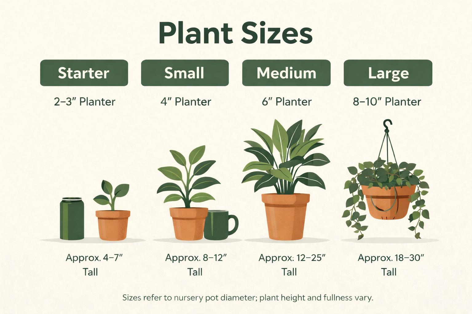 The image is a visual guide to different plant sizes, ranging from small to large, with illustrations of each plant type and their corresponding pot size.