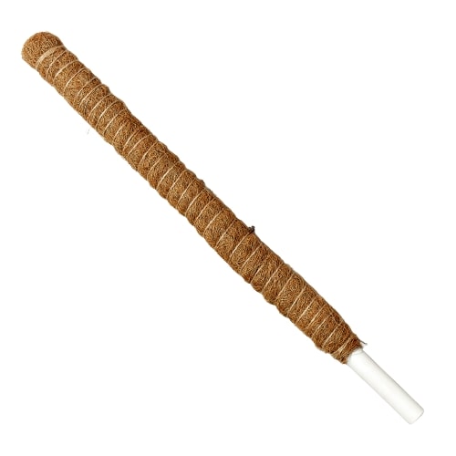 Moss Pole - 22in. Default Title Austin Jungle Co.